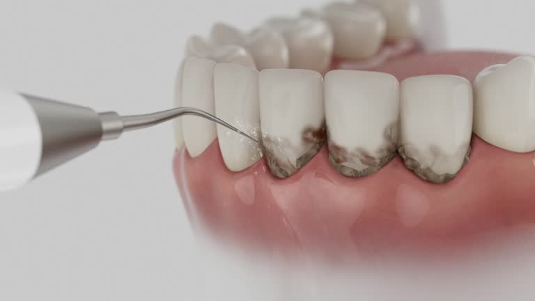 Reliable Dental contractor in Kodiak Island Borough County, AK by Dentist Open Now